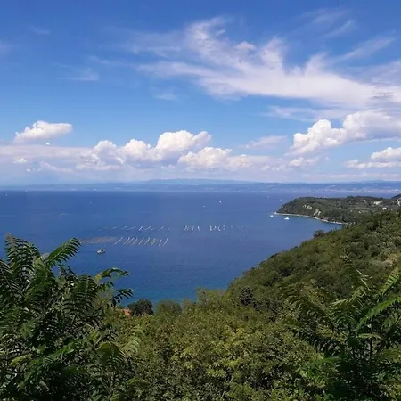 Kocevar 4 Comfortable * Portorož