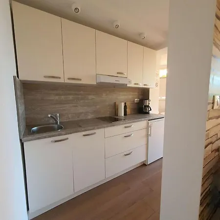 Kocevar 4 Comfortable Počitniška hiša