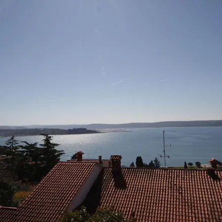 Kocevar 4 Comfortable