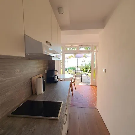 Kocevar 4 Comfortable