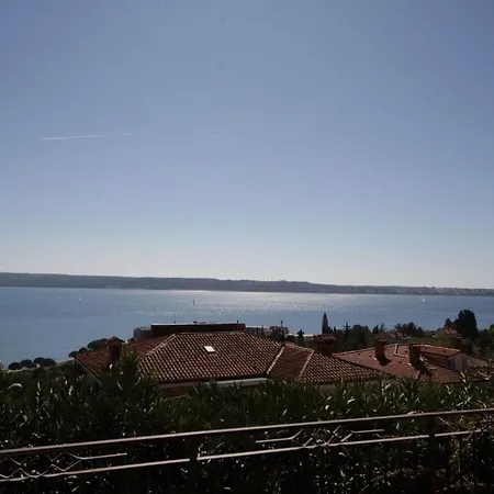 Kocevar 4 Comfortable *