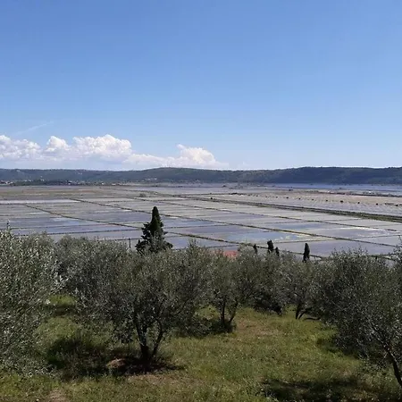 Kocevar 4 Comfortable Počitniška hiša *