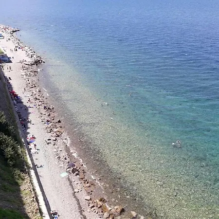 Kocevar 4 Comfortable *