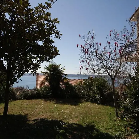 Kocevar 4 Comfortable *