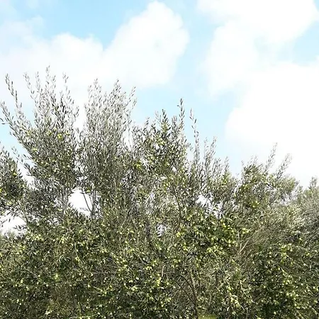 Kocevar 4 Comfortable Počitniška hiša