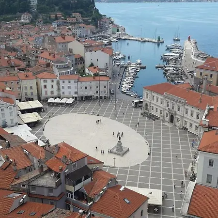 Kocevar 4 Comfortable