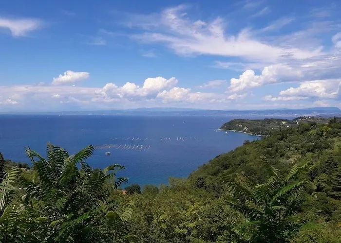 Kocevar 4 Comfortable * 波尔托罗