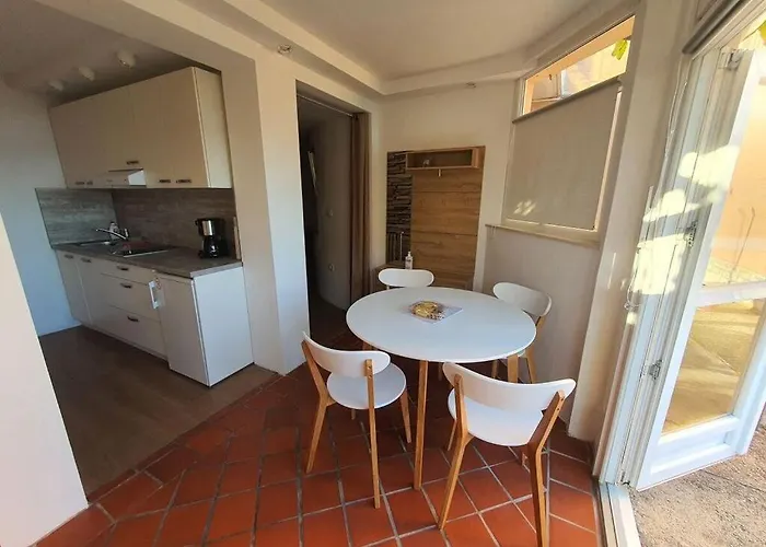 Kocevar 4 Comfortable