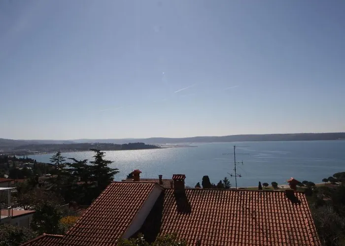 Kocevar 4 Comfortable