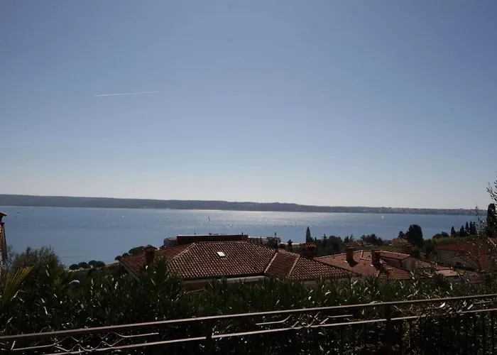 Kocevar 4 Comfortable *