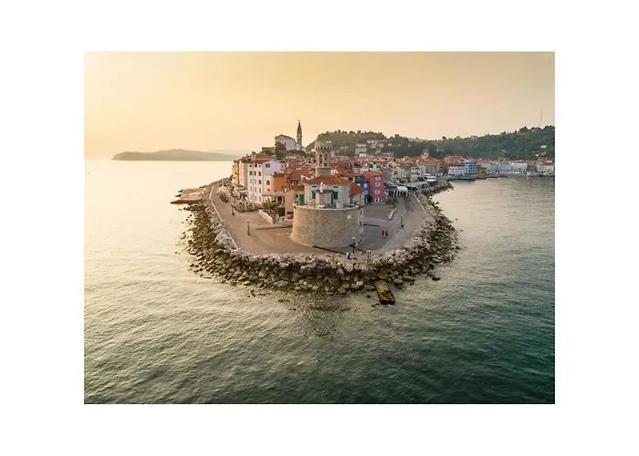 度假居 Kocevar 4 Comfortable 波尔托罗