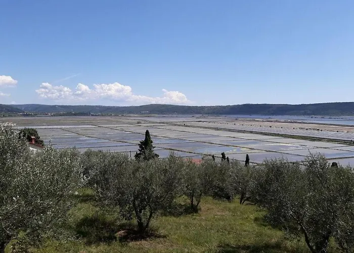 Kocevar 4 Comfortable 度假居 *