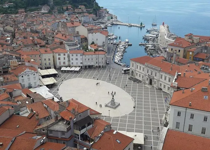 Kocevar 4 Comfortable